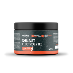 Shilajit Electrolytes 210g